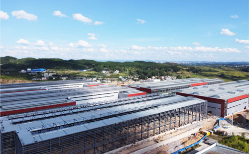 年产 10 万吨锂电池负极材料一体化项目